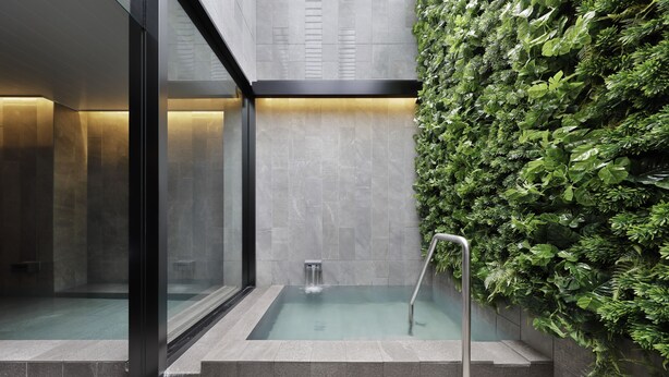 Un área de spa moderna con un jacuzzi rectangular, una ducha envuelta en vidrio y una pared cubierta de exuberantes plantas verdes.