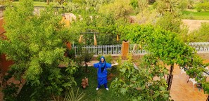 Garden - Riad Chay & Boutique (Tarmigt)