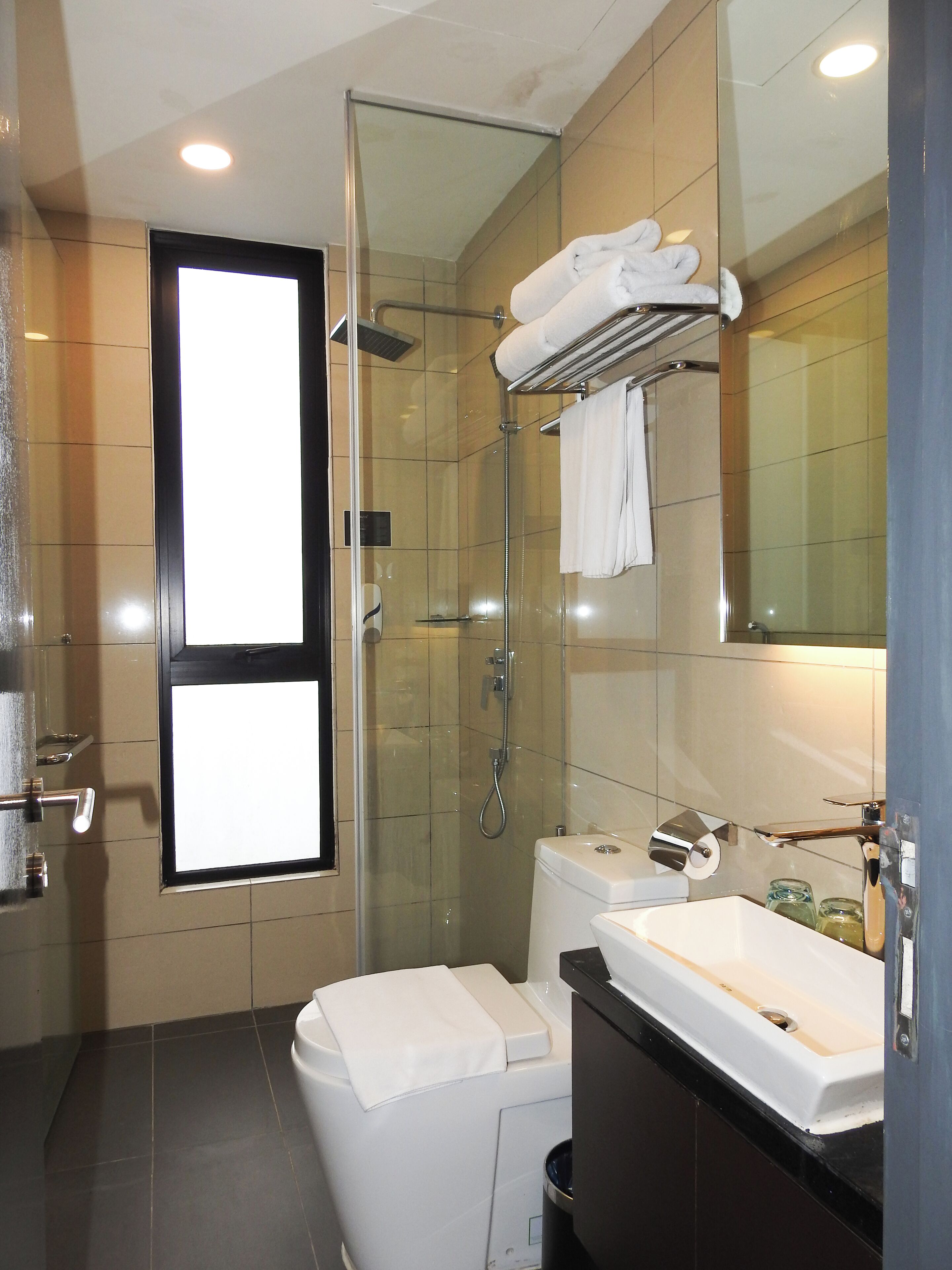 A modern bathroom with a glass-enclosed shower, a toilet, a sink, and a mirror.