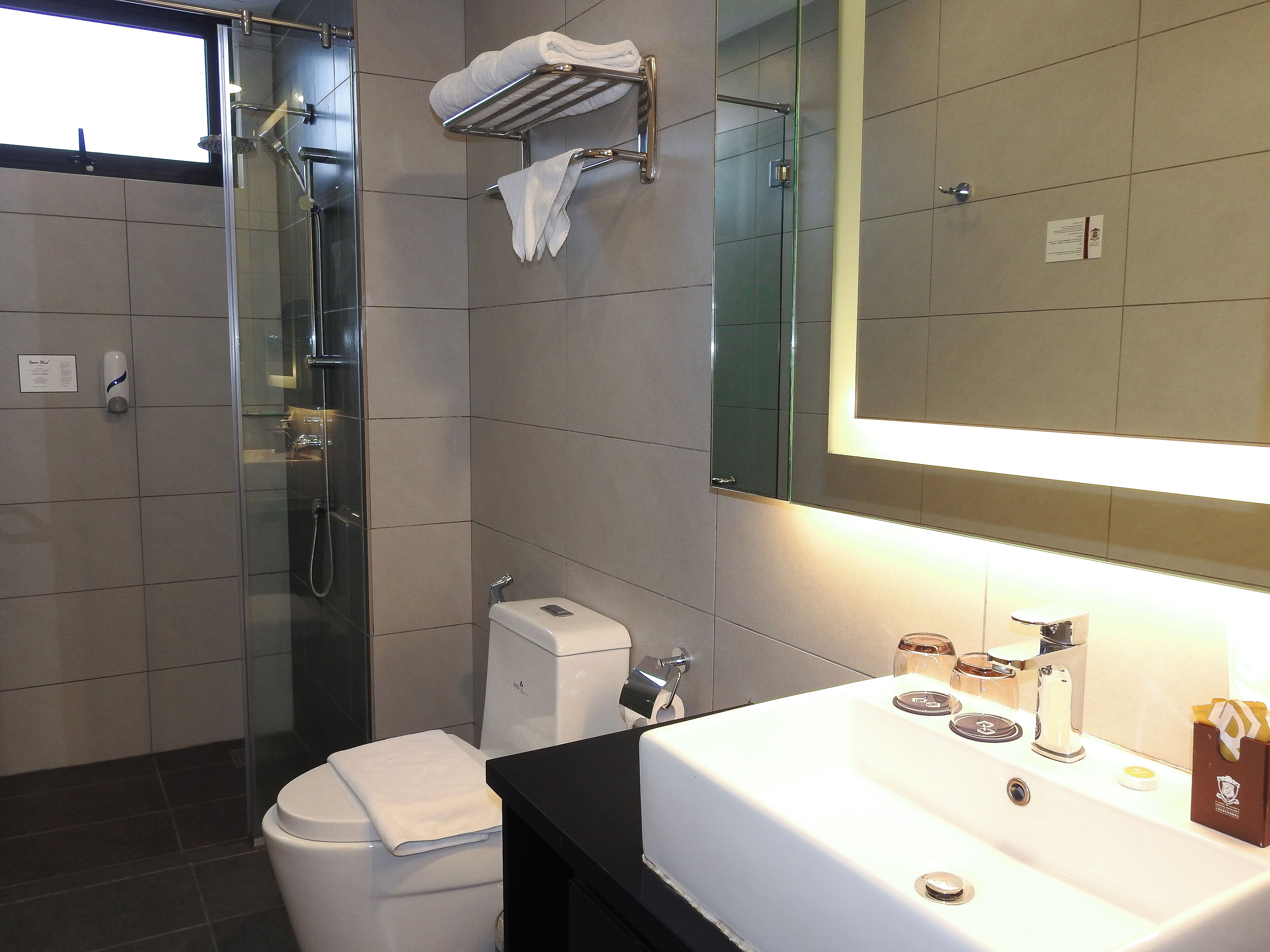 A modern bathroom with a glass shower enclosure, a white toilet, a black sink with a mirror above it, and a towel rack with towels.