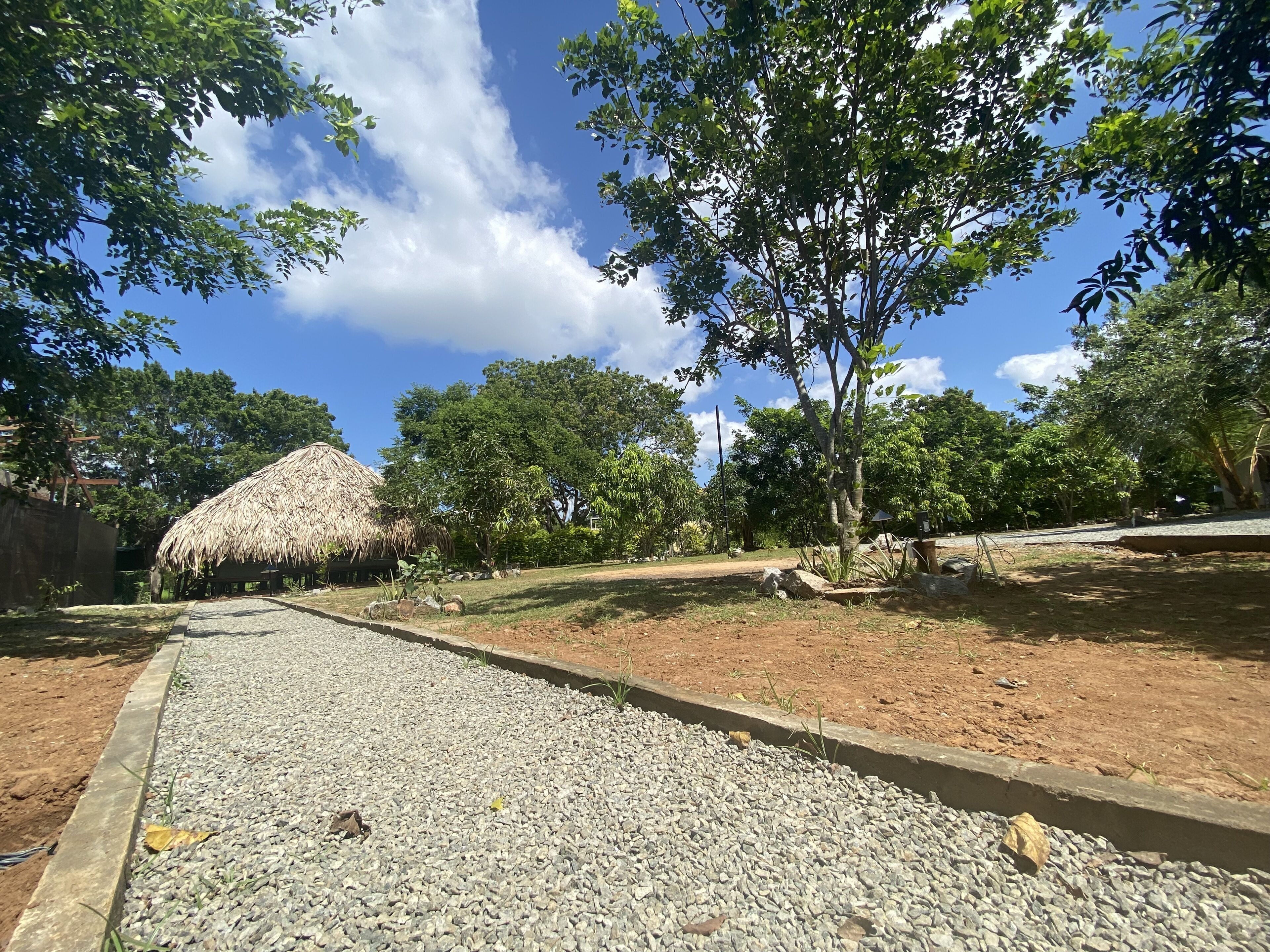A pathway leading to a thatched-roof structure surrounded by trees and a clear sky.