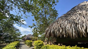 A pathway lined with green bushes, a thatched-roof structure, and trees under a clear sky. - Yala Lake View Cabanas (Thissamaharama)