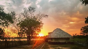 A rural landscape with a thatched-roof hut, a dirt road, and trees. - Yala Lake View Cabanas (Thissamaharama)