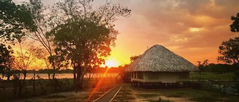 Vista desde la propiedad