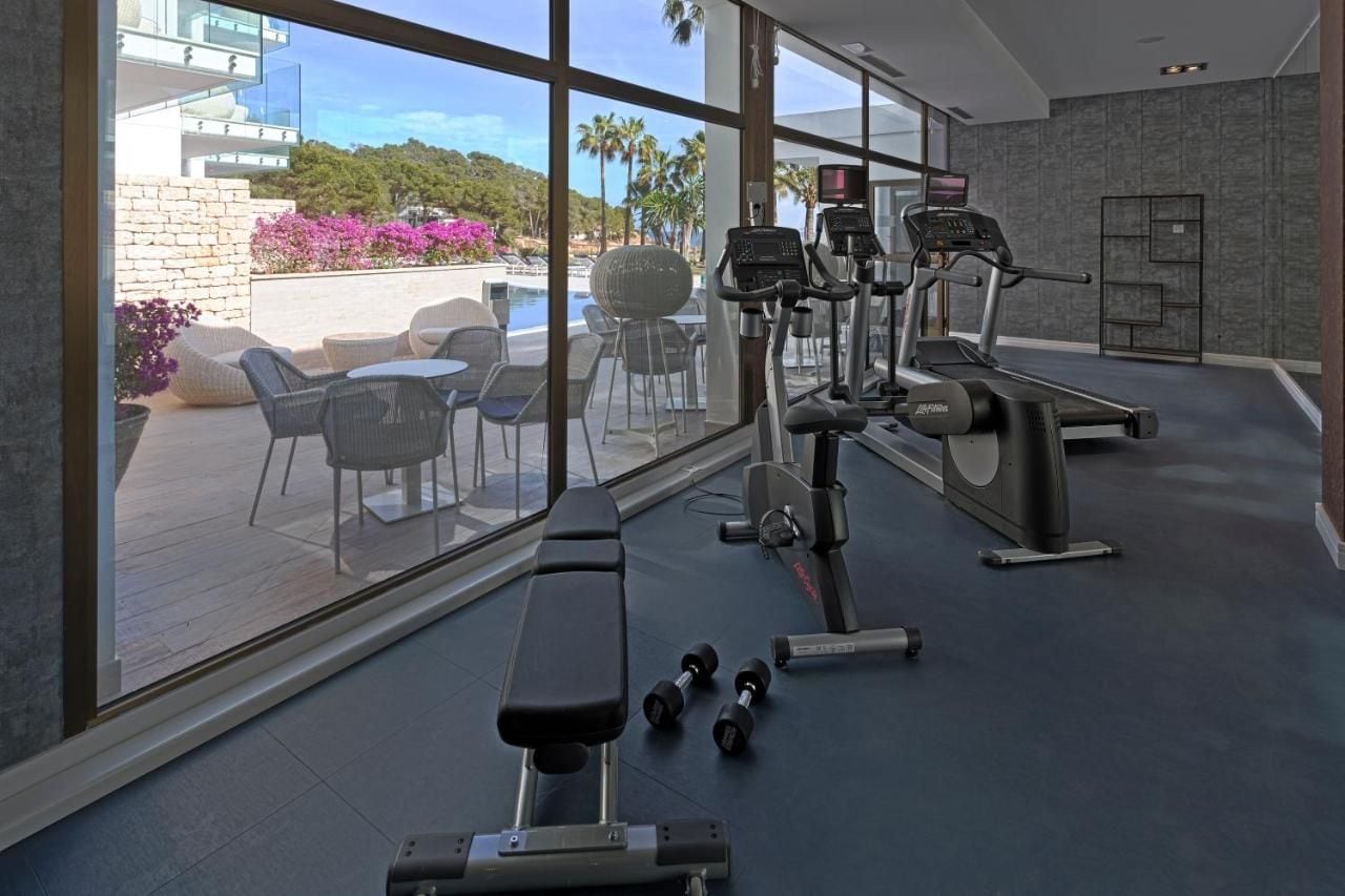 A gym with exercise equipment, a bench, and dumbbells.
