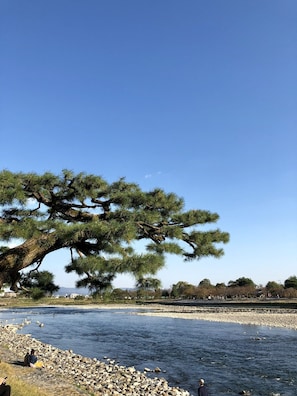 Point of interest - Tsubaki Ann Kyoto (Kyoto)