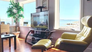 Smart TV, chimenea, videojuegos y reproductor de DVD