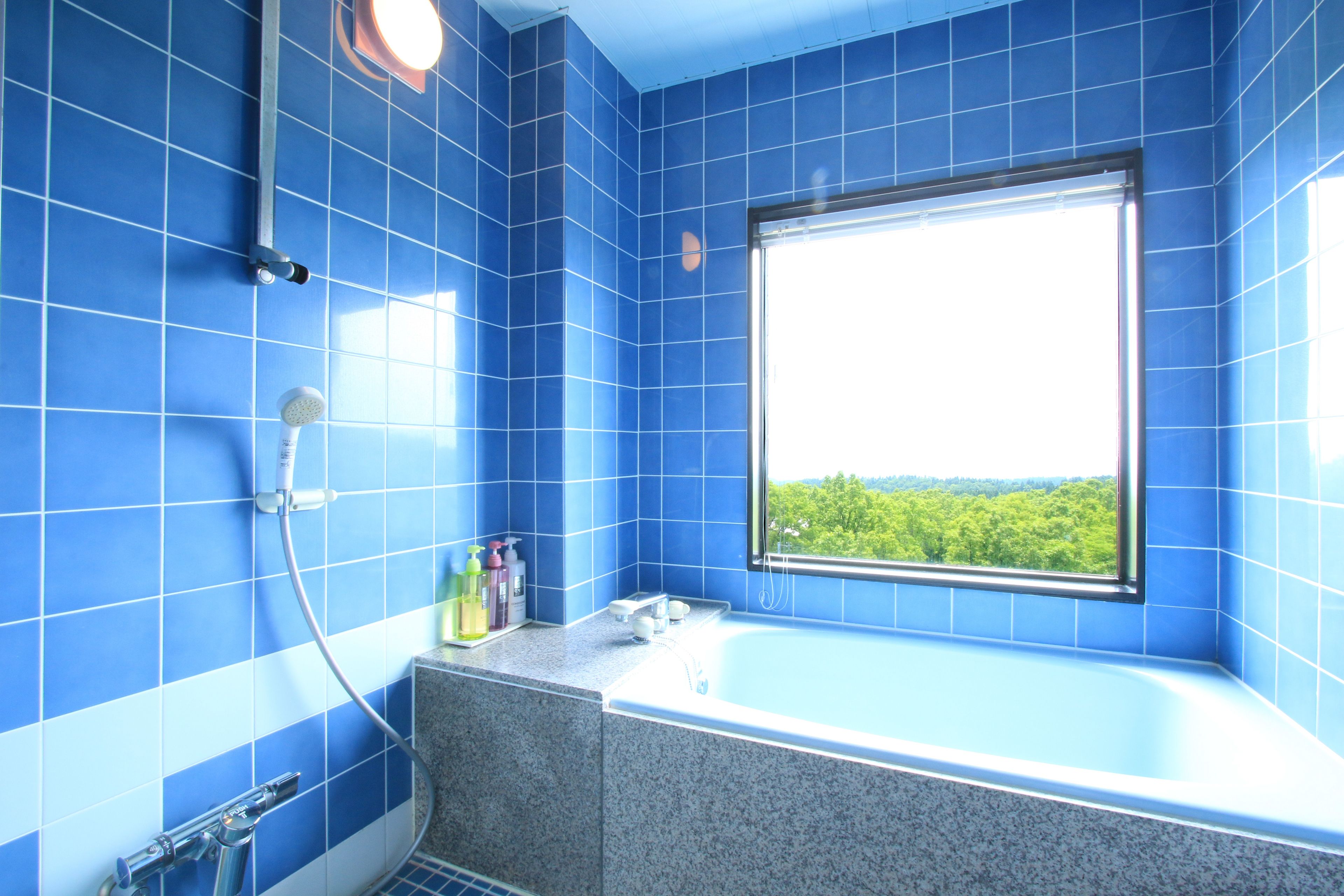 combined shower/bathtub, free toiletries, hair dryer, slippers