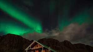 Eksteriør