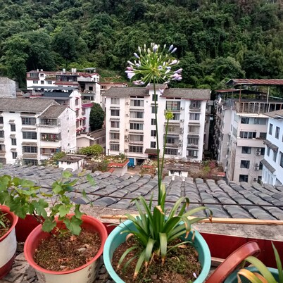 How Flower Hostel Yangshuo