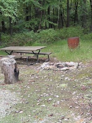 A picnic table in a wooded area with a metal barrel nearby. - Cozy cabin nestled the woods (Warriors mark)