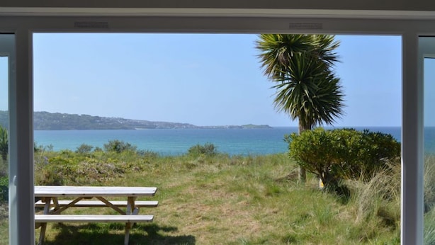 A view through a glass door of a grassy area with a wooden picnic table and a palm tree, overlooking a coastal landscape with clear skies.