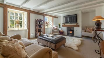 TV, fireplace, DVD player, stereo