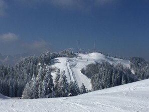 スノー スポーツとスキー