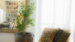 Una sala de estar con un sofá, un reposapiés estampado de leopardo, una planta en maceta y una estantería.
