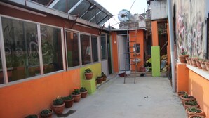A narrow outdoor corridor with potted plants lining the sides, a ladder, and a door leading to a building. - Hotel Peace Mountain (Kathmandu)