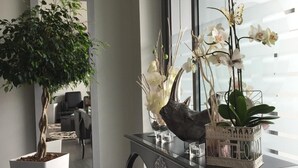 A modern interior with a large potted tree, a glass table with decorative items, and a view through a window. - Hotel Noia (Noia)