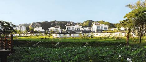 Vista desde la propiedad