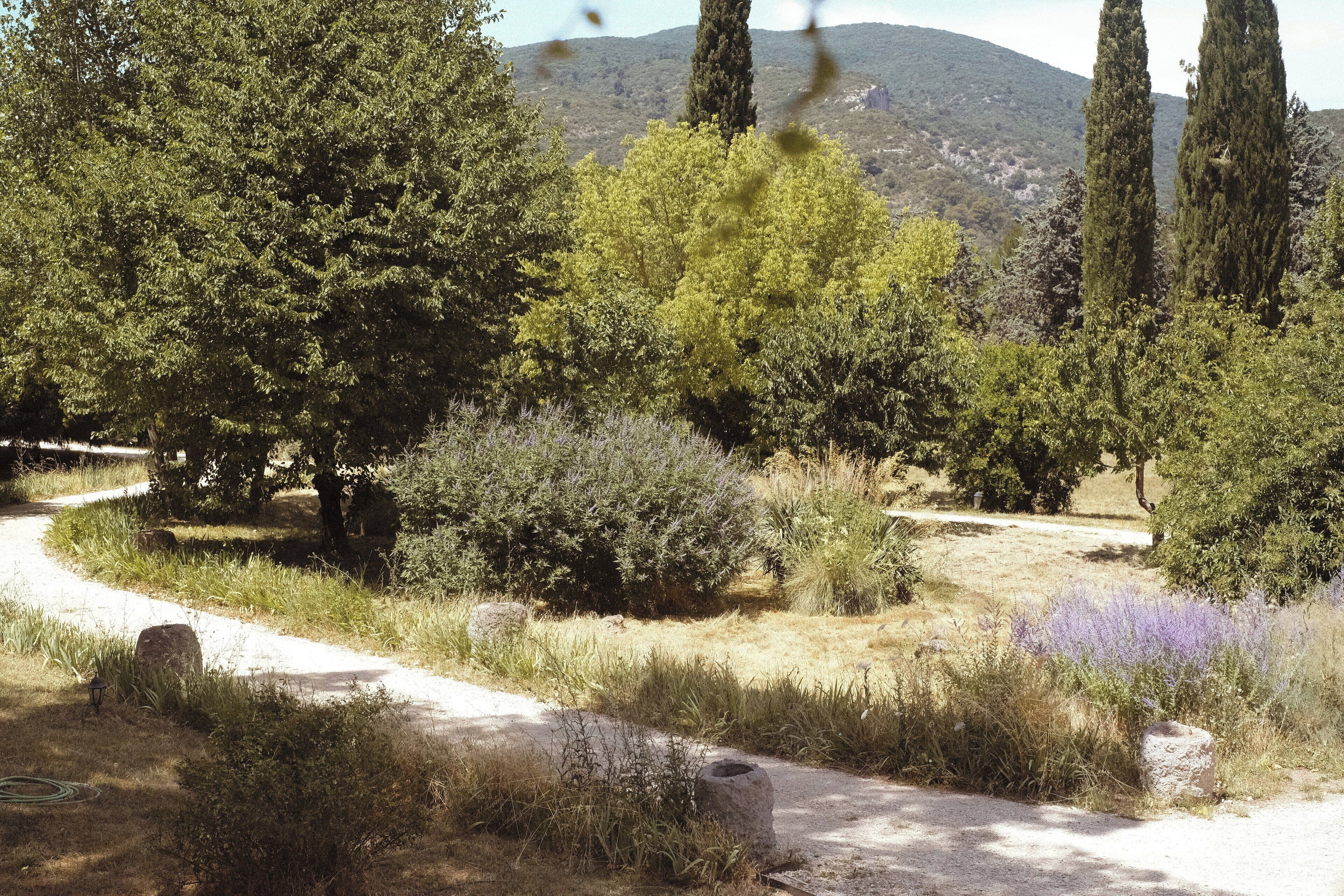 A pathway through a natural landscape with trees and shrubs, leading towards a distant hill.