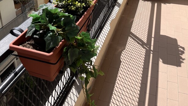 A balcony with potted plants, a metal railing, and a view of adjacent buildings. - Suite 39 Guest House (Salerno)