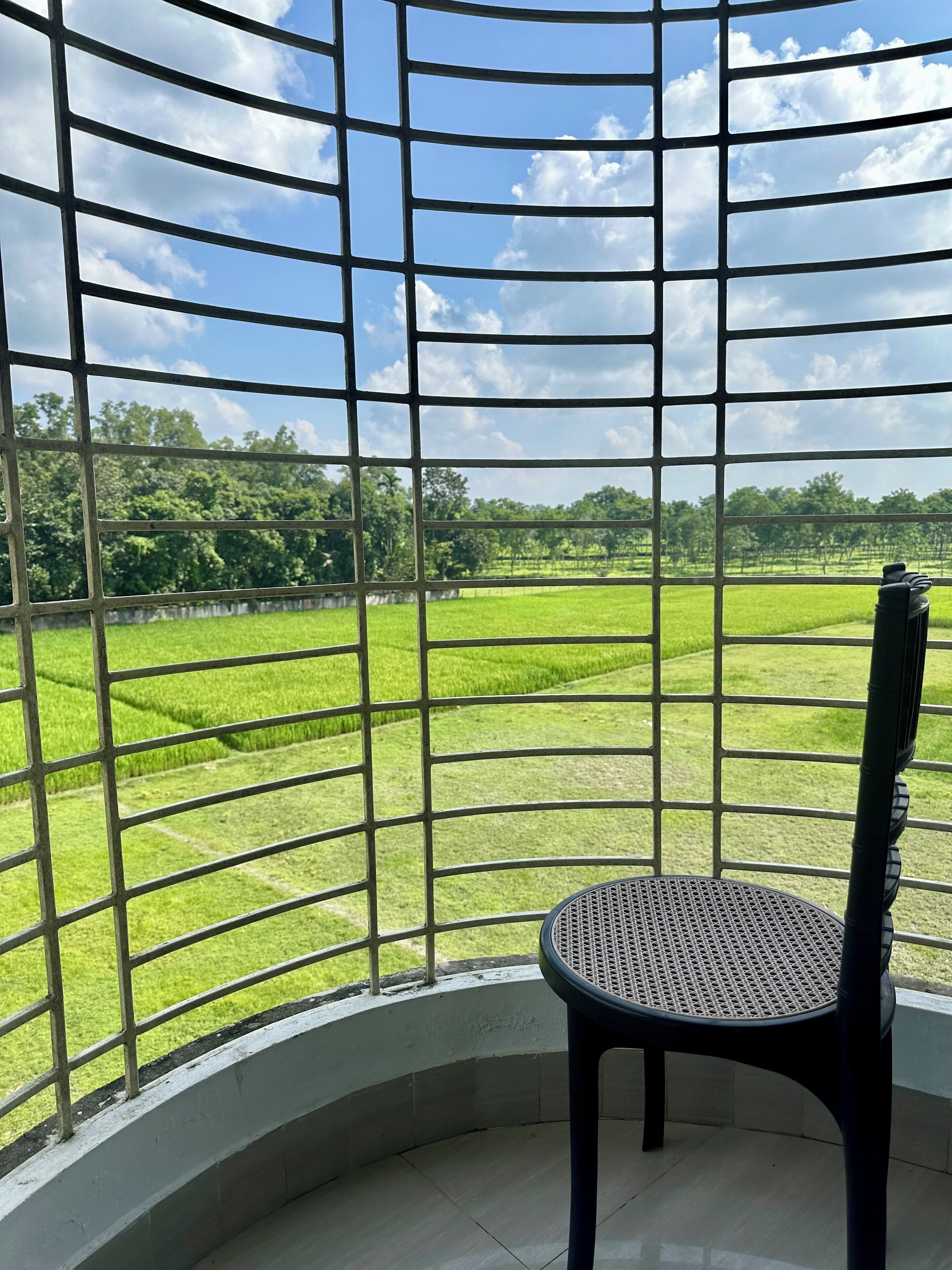 A room with a view of a green field through a metal grid.