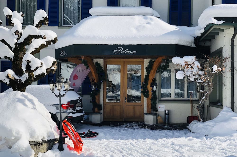 Parkhotel Bellevue Lenk