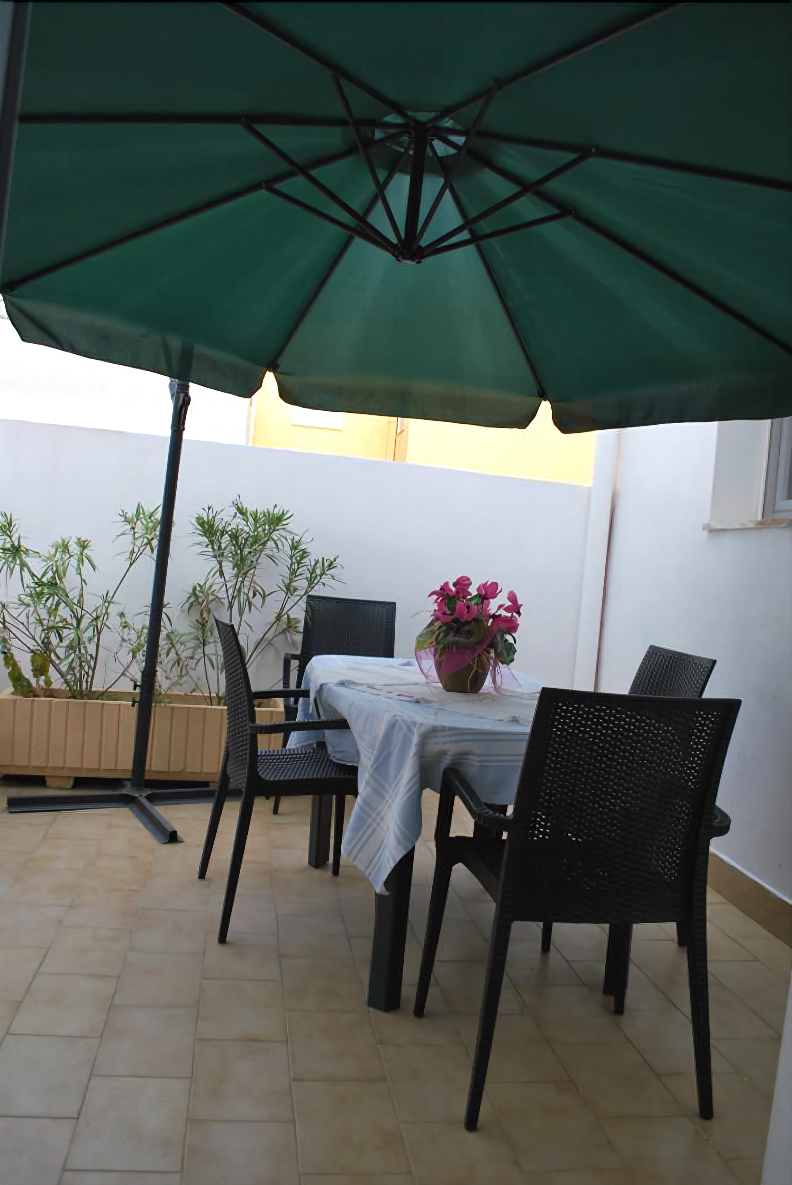 An outdoor patio with a table and chairs under a green umbrella, surrounded by potted plants.