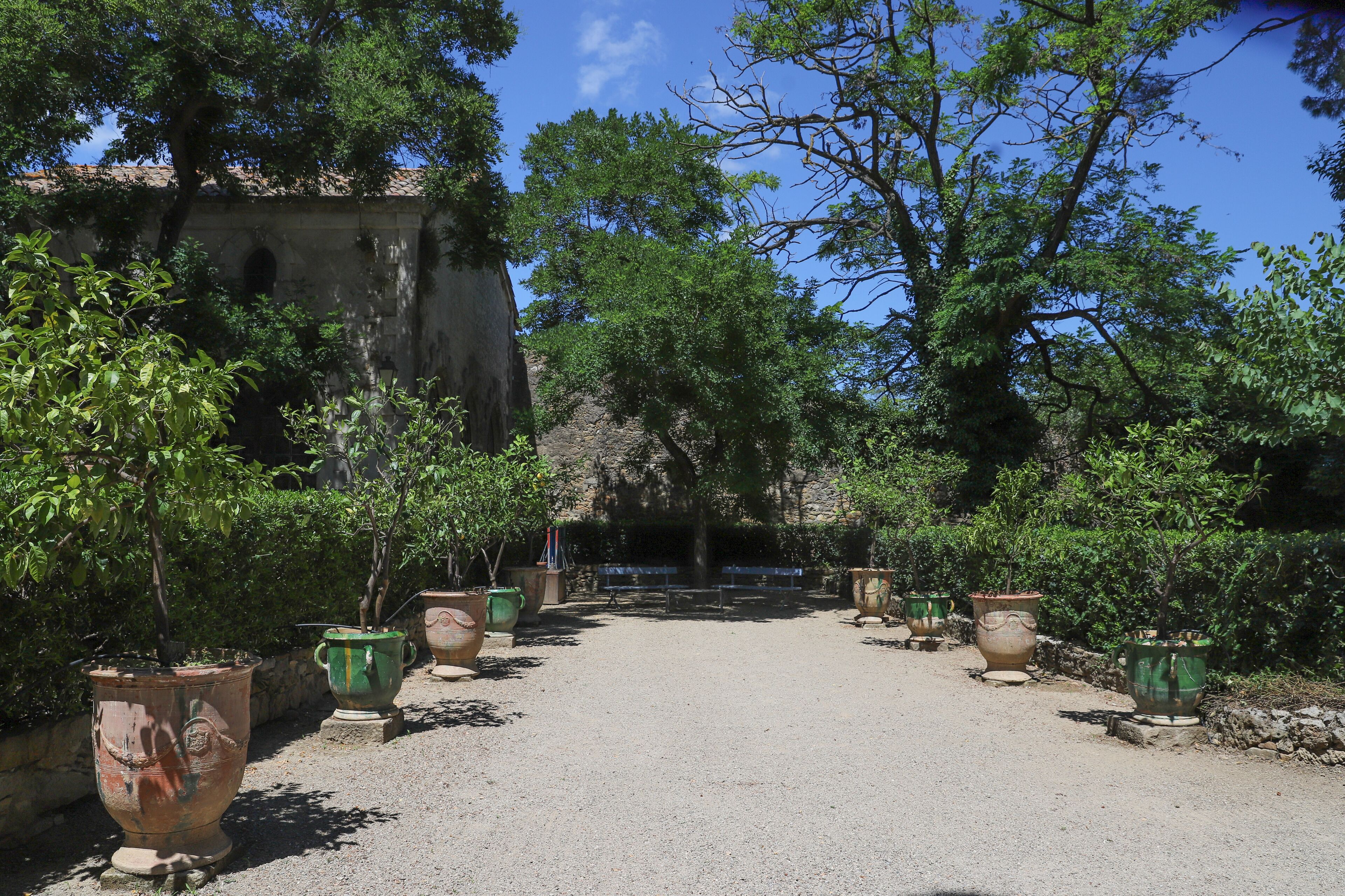 A pathway flanked by large terracotta planters and a stone wall, leading to a building with arched windows.