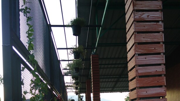 Terrace/patio - Duangdara Guesthouse (Mae Rim)