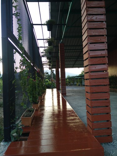 Duangdara Guesthouse