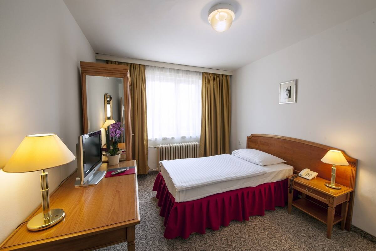 Classic Single Room | Iron/ironing board (on request), WiFi (free), bed sheets