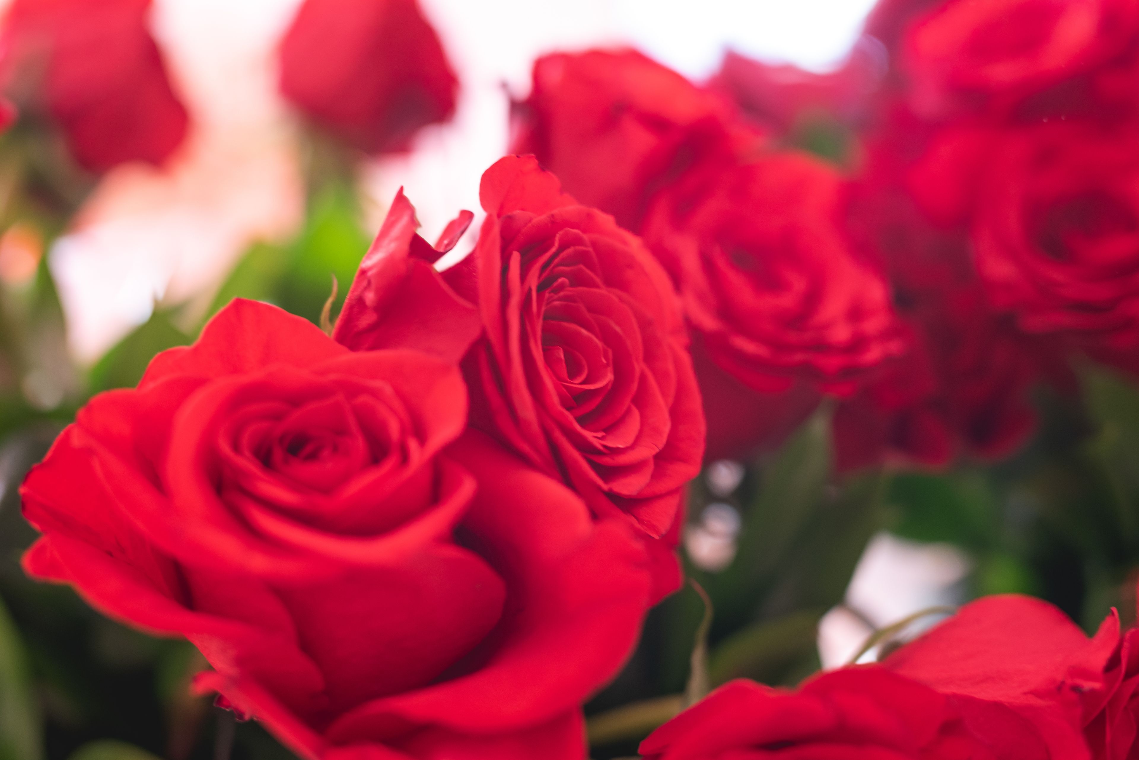 Foto - La Spezia by The First - Luxury Rooms & Suites