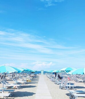 在海灘附近、間海灘酒吧