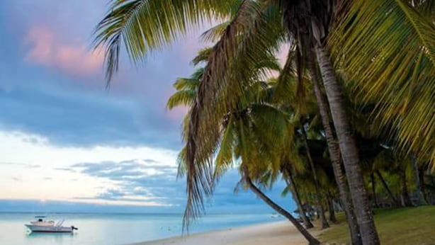 A beach with palm trees and a boat on the water. - Easy Stay Residence (Trou aux Biches)