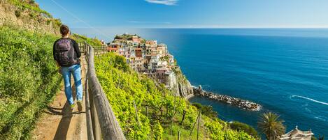 A person walking on a dirt path beside a vineyard with a view of a coastal town and the sea.