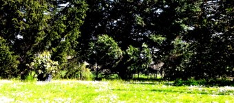 Agriturismo Corte Trincerone