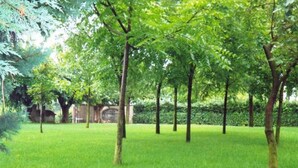 A well-maintained grassy area with evenly spaced trees and a stone wall in the background. - Agriturismo Corte Trincerone (Mantua)