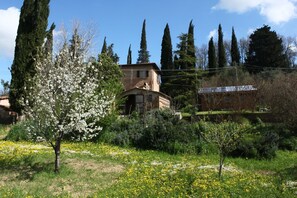 Property grounds - Bio B&B La fanciullaccia (Capannoli)