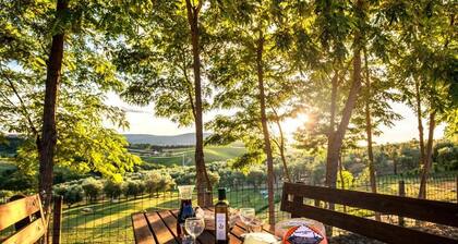 Agriturismo Il Sambuco
