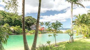 A tropical landscape with a clear lake, palm trees, and a house in the background. - Quinta da Margem (Florianópolis)