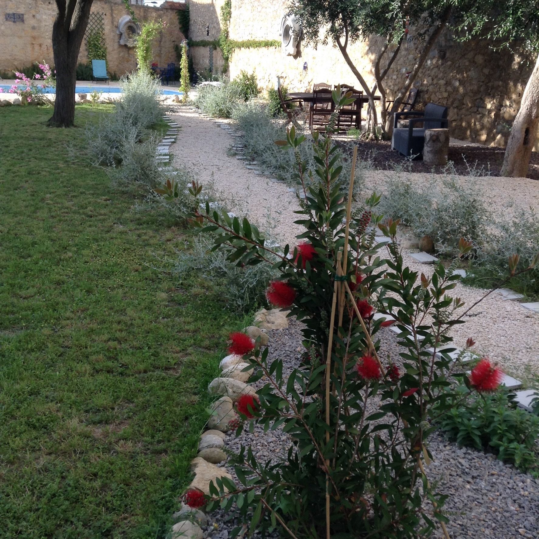 A garden with a gravel path, a small tree with red flowers, and a stone wall in the background.