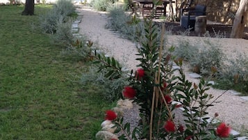 A garden with a gravel path, a small tree with red flowers, and a stone wall in the background.