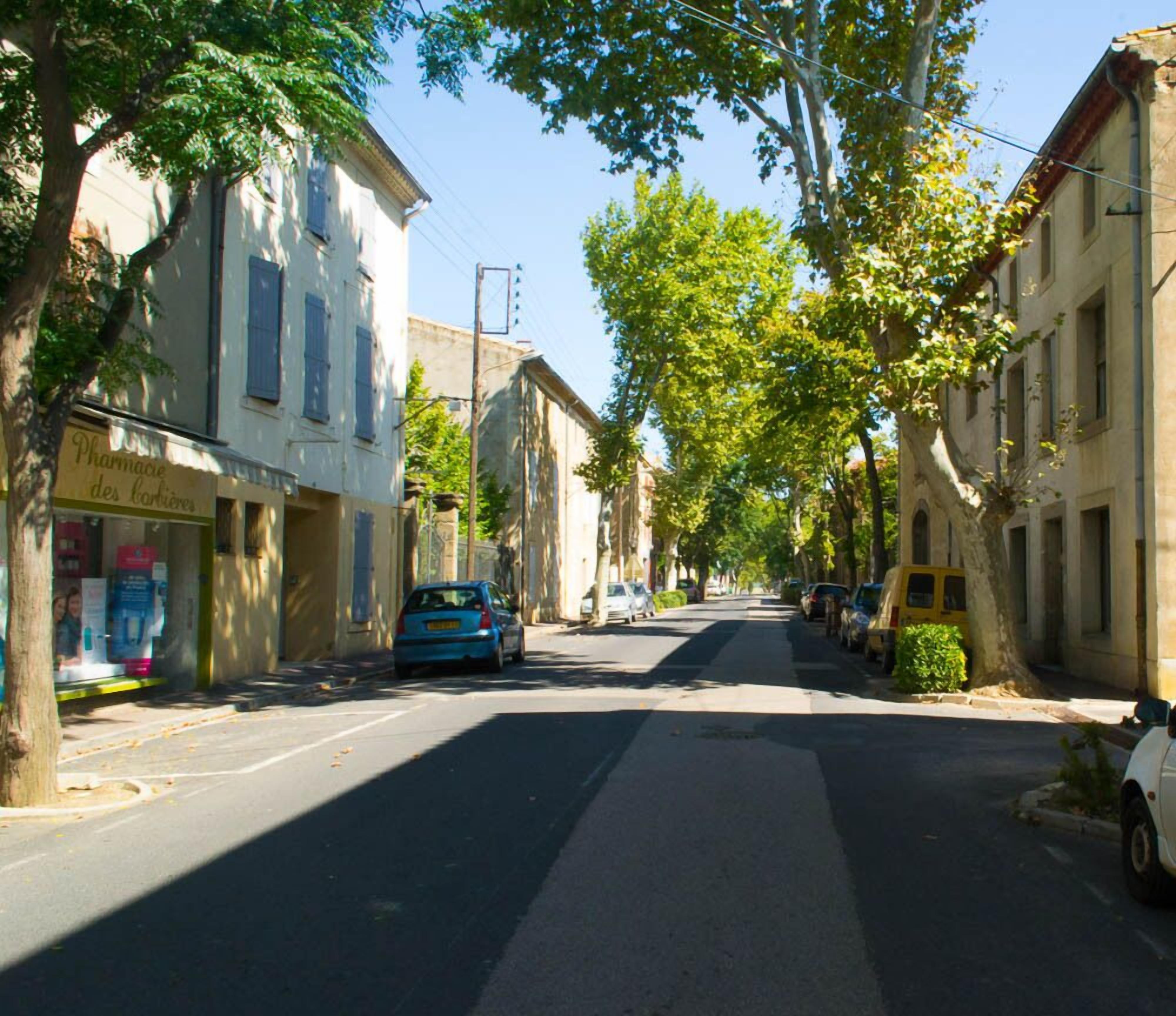 A narrow street lined with trees and buildings, featuring a pharmacy on the left.