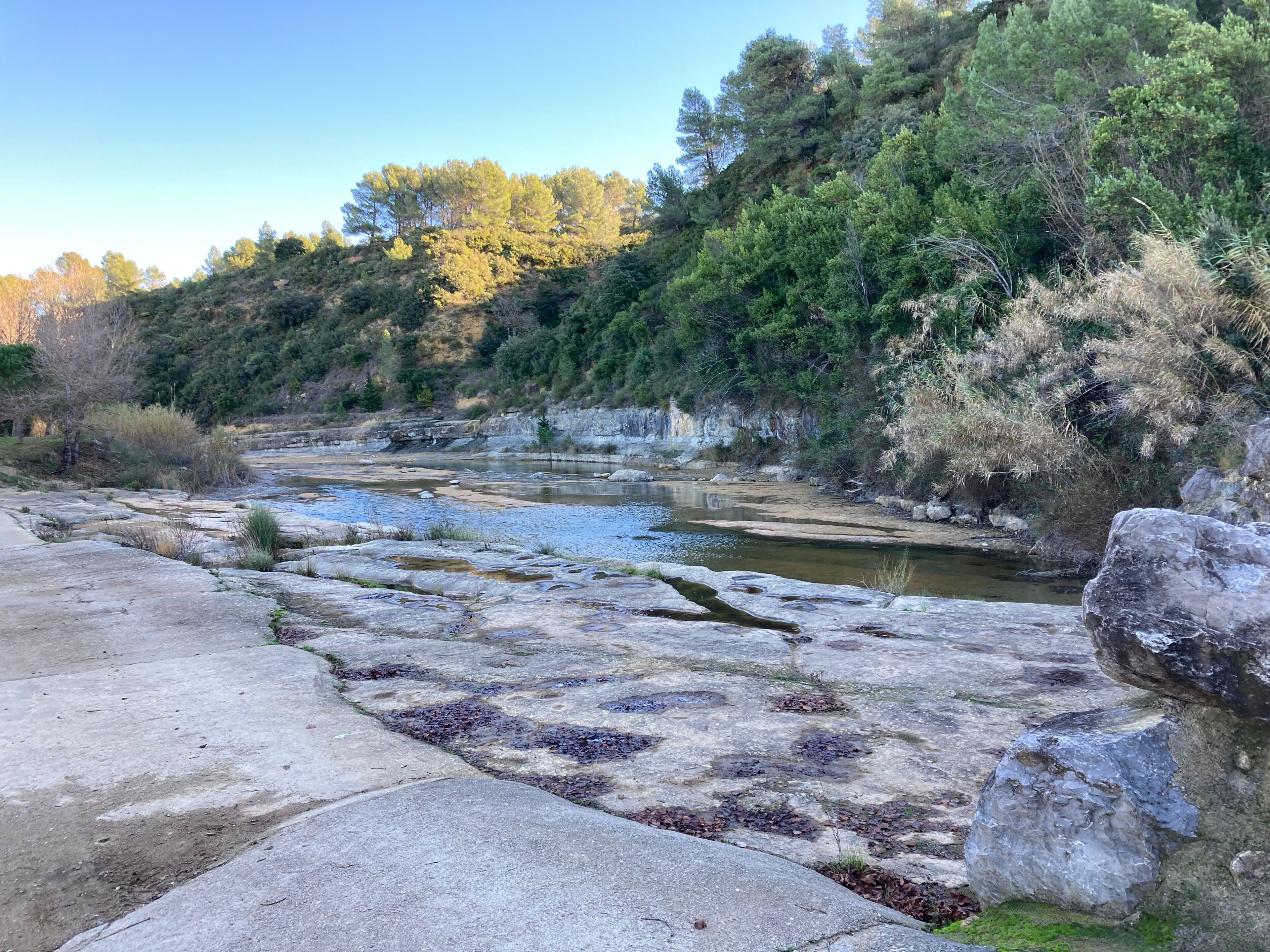 Eine natürliche Landschaft mit einem Fluss, felsigem Gelände und dichtem Wald.