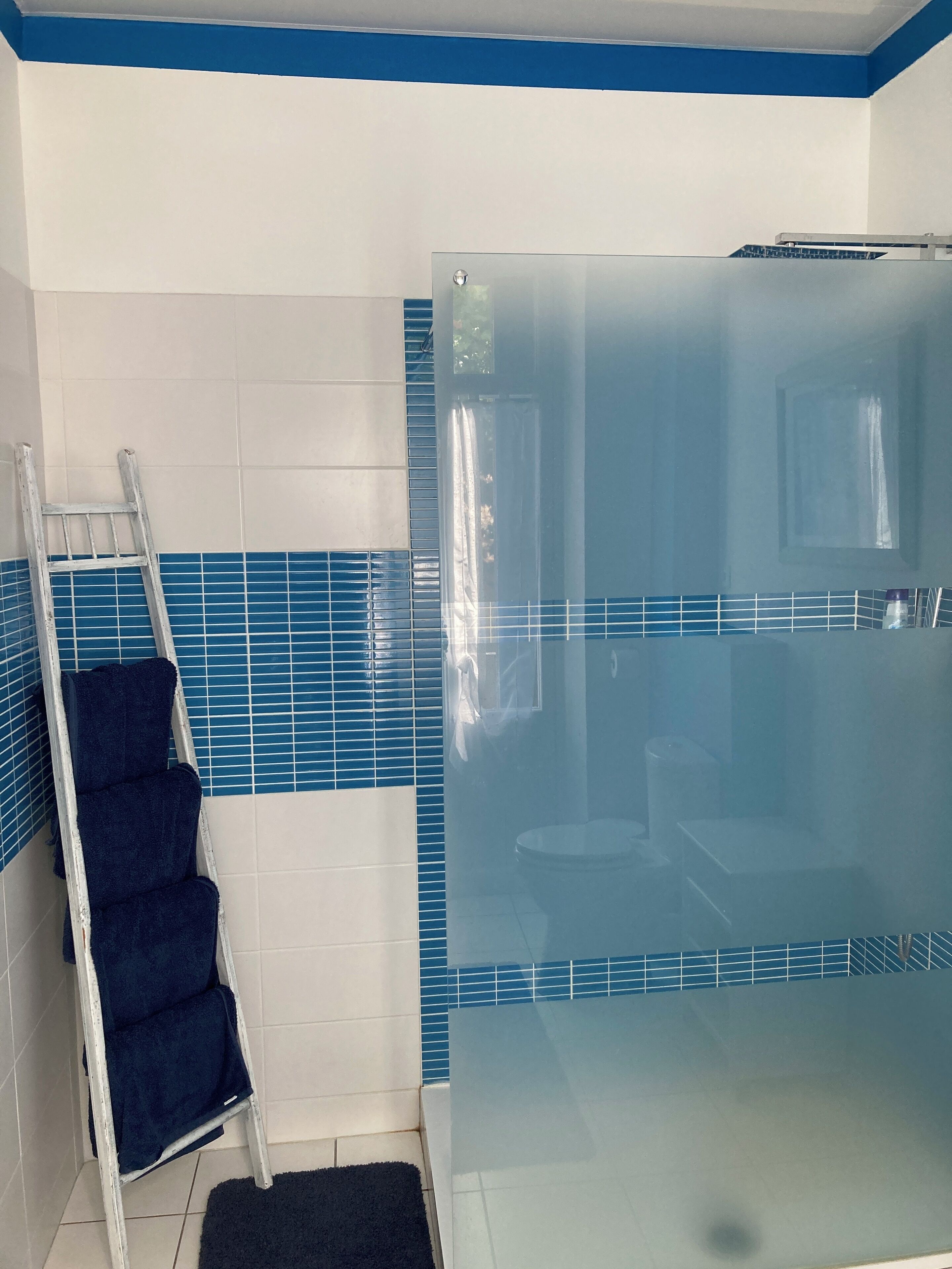 A bathroom with a glass shower enclosure, a white and blue tiled wall, and a white ladder with towels.