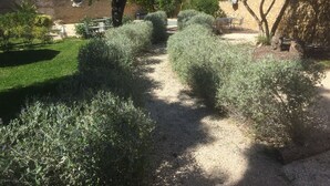 A garden with neatly trimmed hedges, a gravel path, and a stone wall. - Villa Celine (Saint-Laurent-de-la-Cabrerisse)