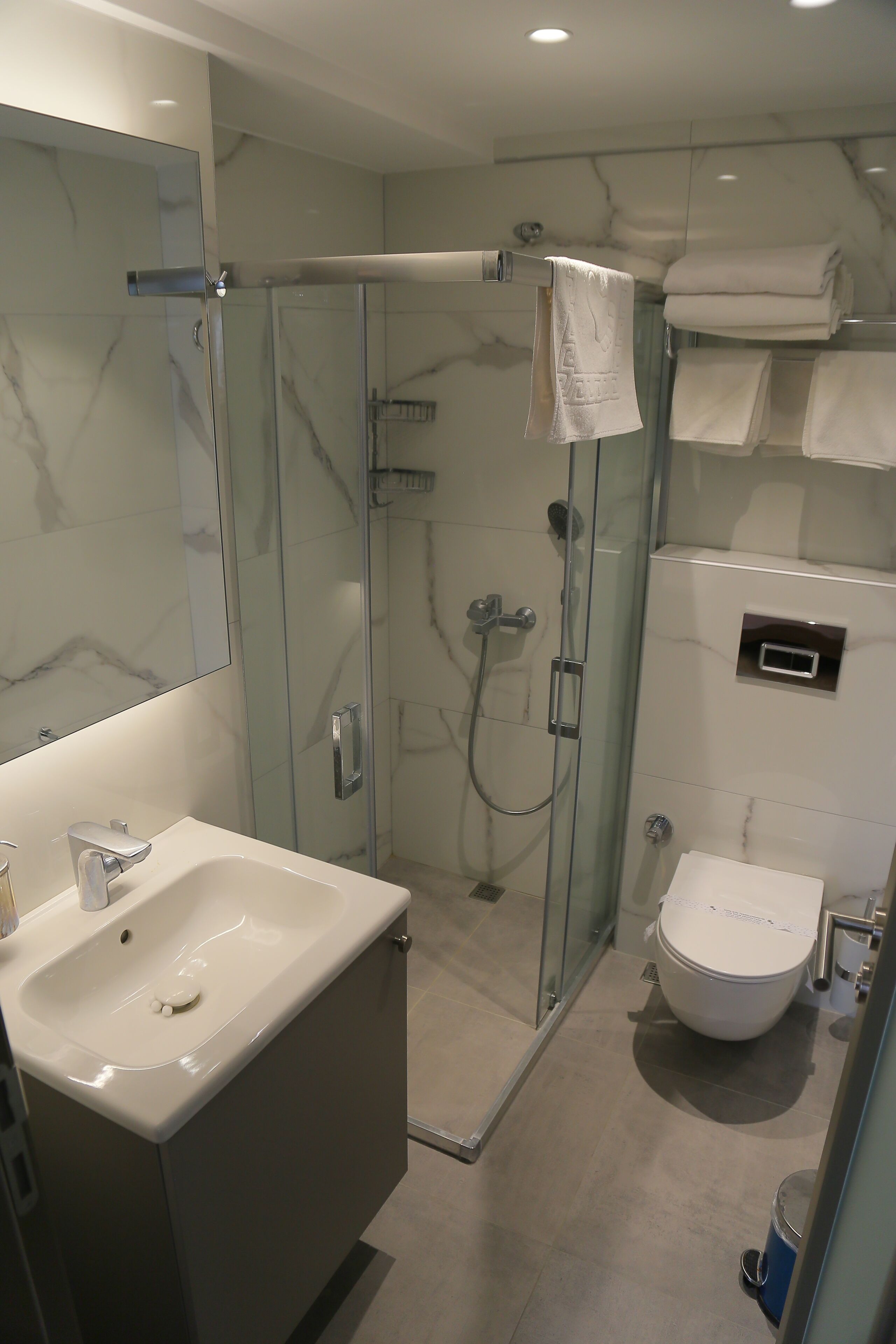 A modern bathroom with a glass-enclosed shower, a white sink, and a toilet.