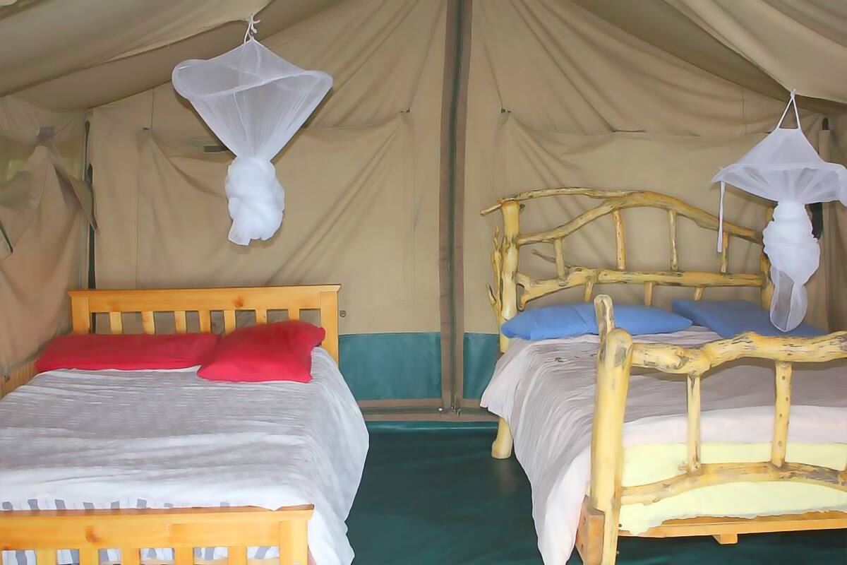 Premium bedding, in-room safe, desk