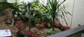 Gio Guesthouse Bogor