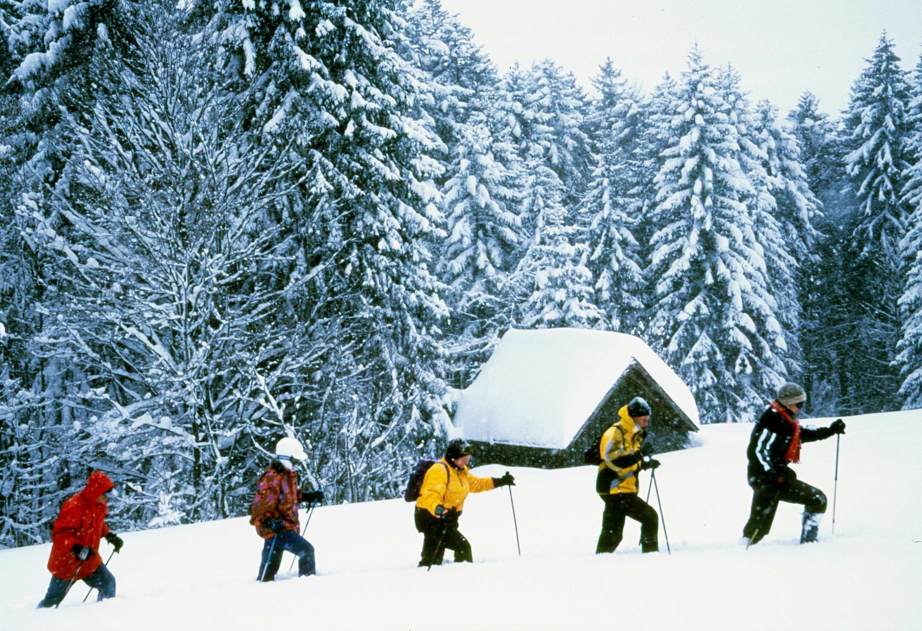Snow and ski sports